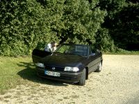 Bertone2