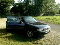 Bertone3