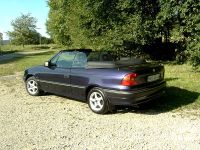 Bertone4