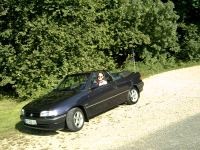 Bertone6