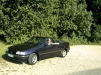 Bertone7