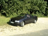 Bertone8